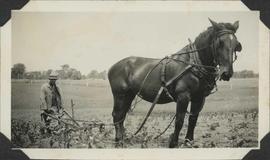 Taylor Burns tilling corn patch