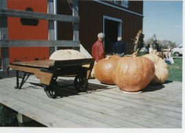 Heritage Fair 1996