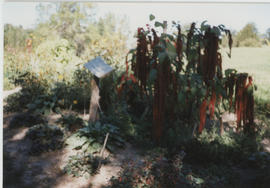 Heritage Garden Landon Bay 1996-1997