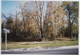 Site of Mitchellville Cheese Factory