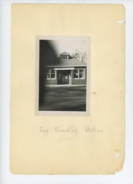 Egg Grading Station