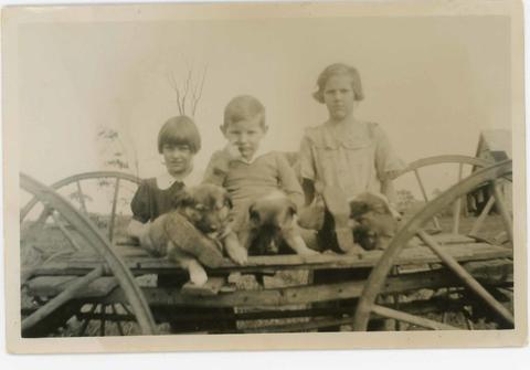 Original Digital object not accessible