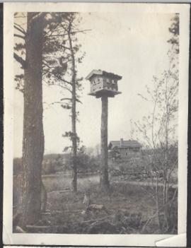 Bird house possibly Martin House and a house in distance