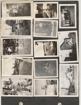 Page from album