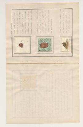 Page 6 of booklet