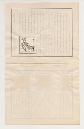Page 7 of booklet
